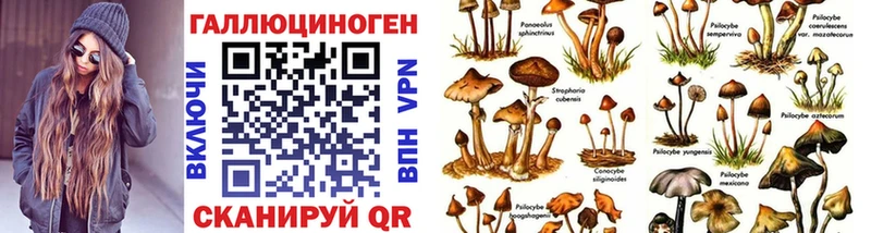 Псилоцибиновые грибы Psilocybe  MEGA как зайти  Гремячинск 